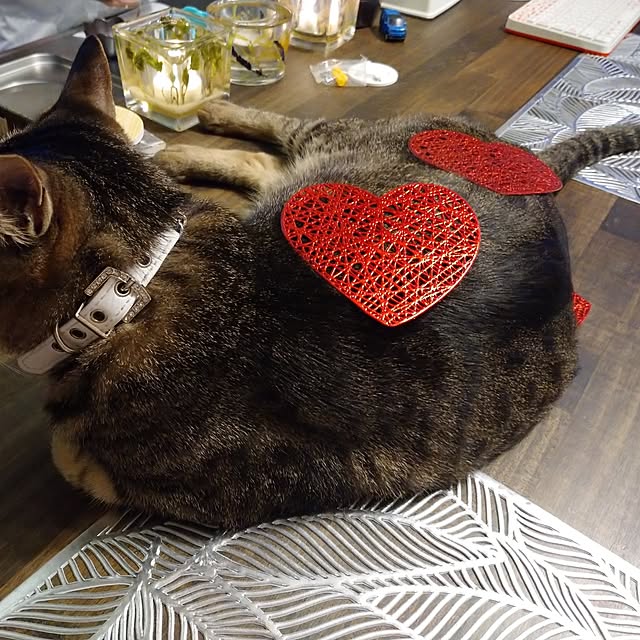 raraさんの実例写真