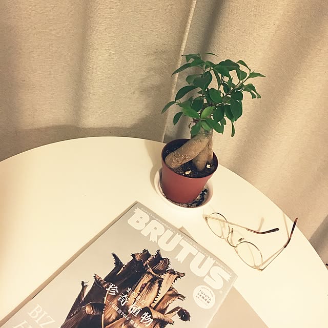 Yasukoさんの実例写真