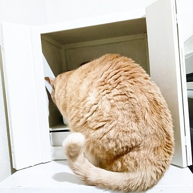 heart.emiemi57.whiteさんの実例写真