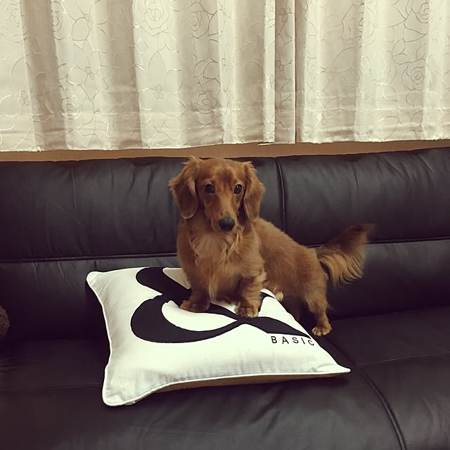 maさんの実例写真