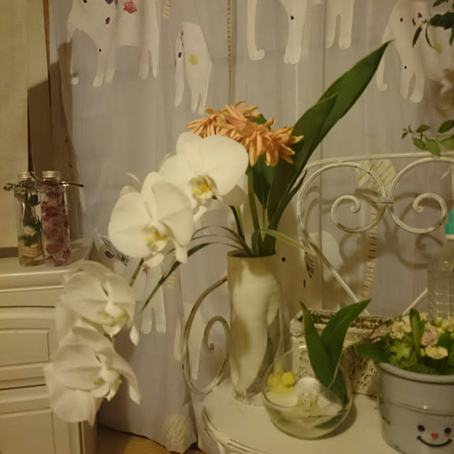 yokoさんの実例写真