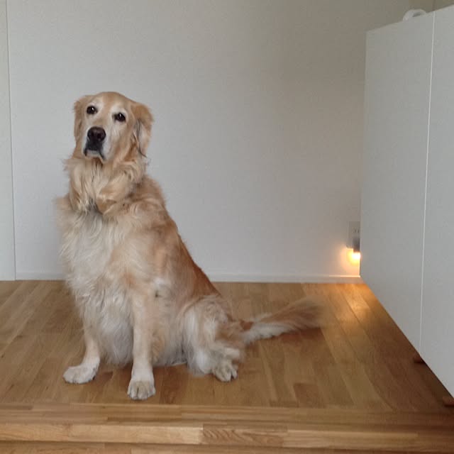hamninさんの実例写真