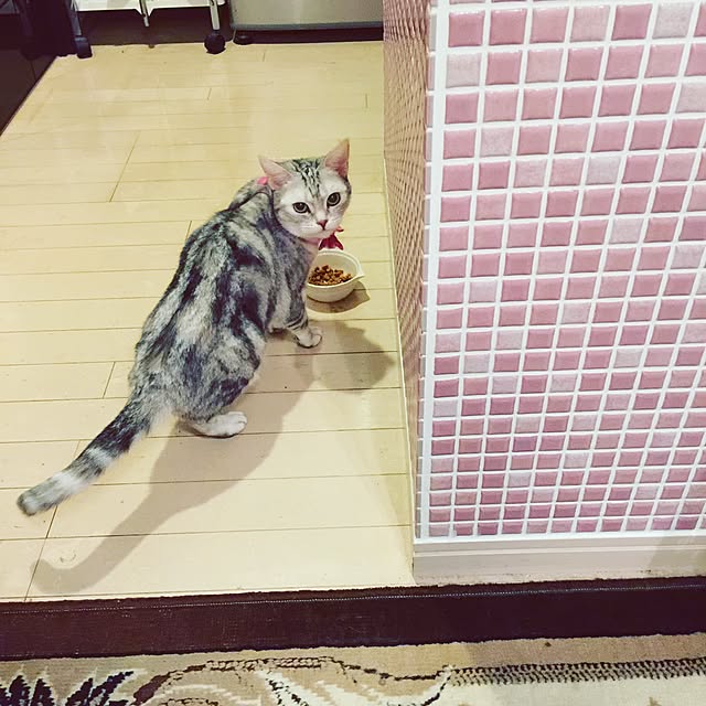 fantasticさんの実例写真