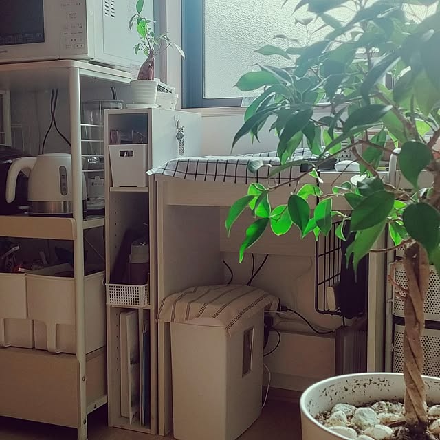saki++さんの実例写真