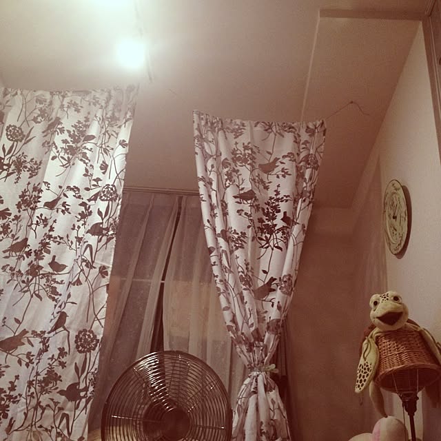hacchiさんの実例写真