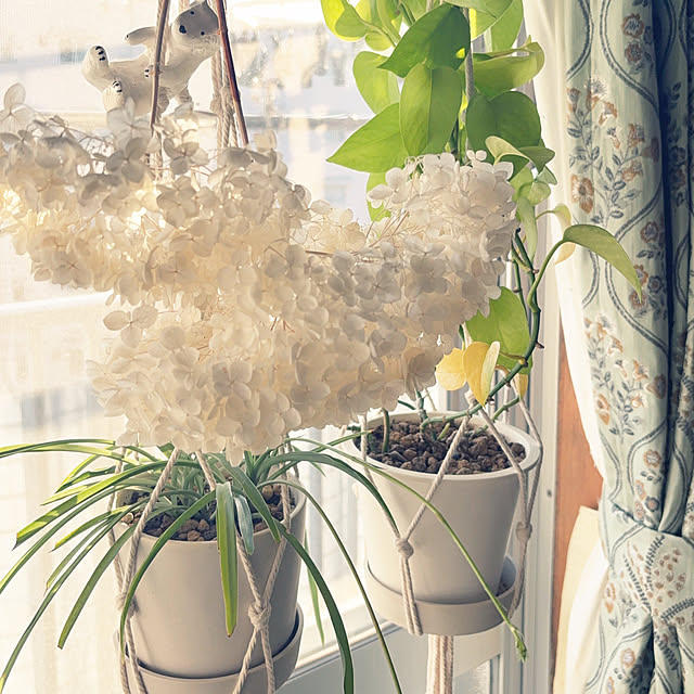 reinaさんの実例写真