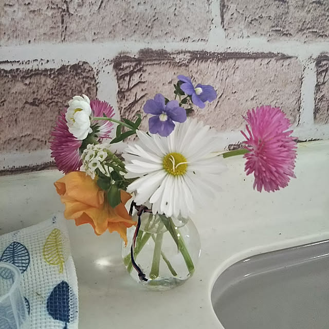 Marikoさんの実例写真