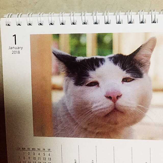 masaさんの実例写真