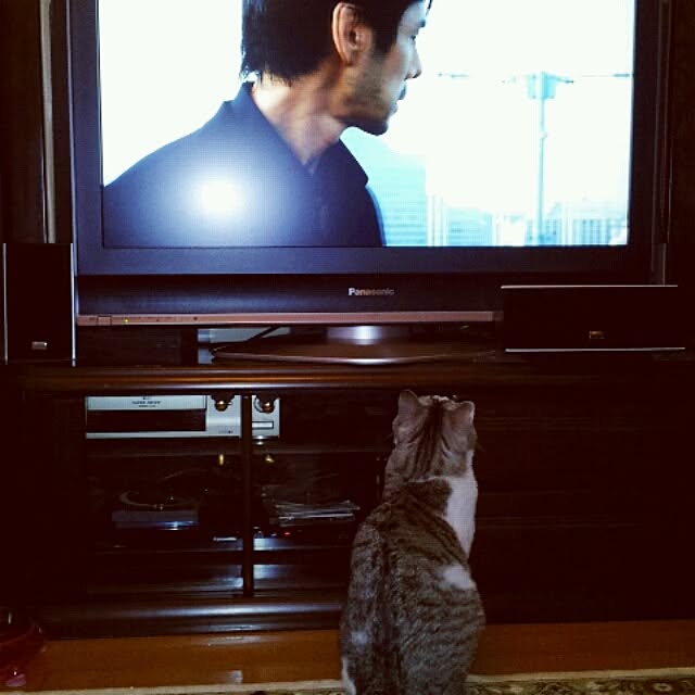 emmyyさんの実例写真