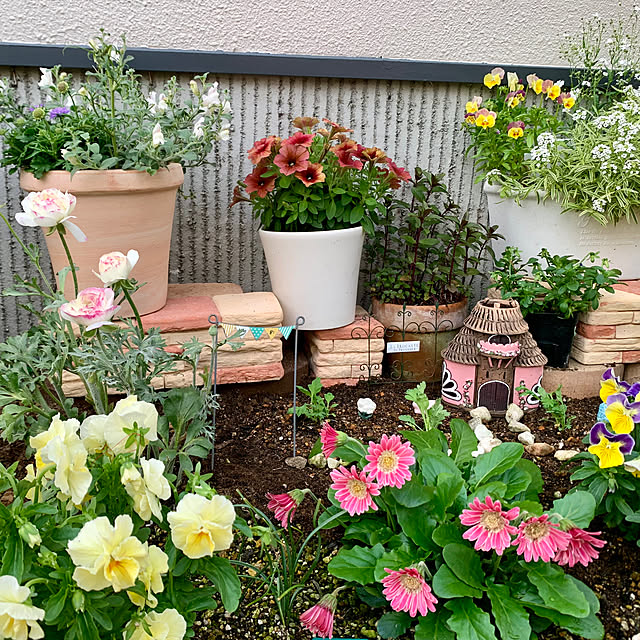 AINIさんの部屋