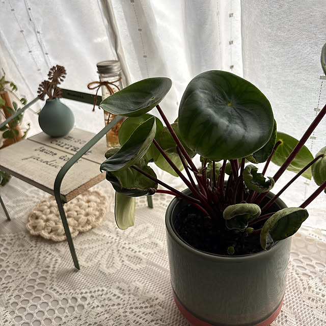 mii-tanさんの部屋