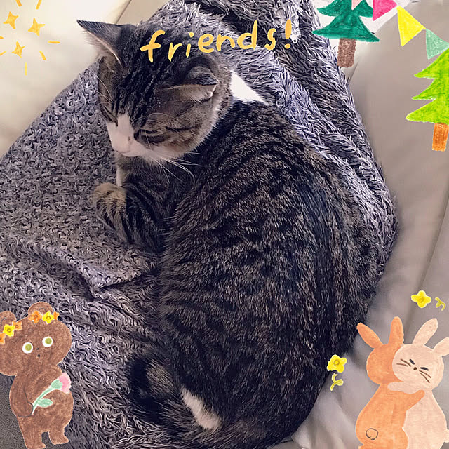choco3さんの実例写真