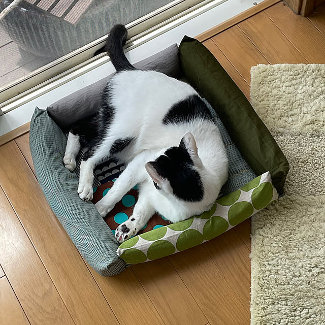 nobikoさんの部屋