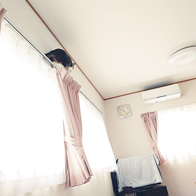 nachiさんの実例写真