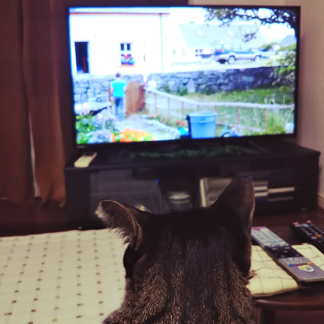 shinoさんの実例写真