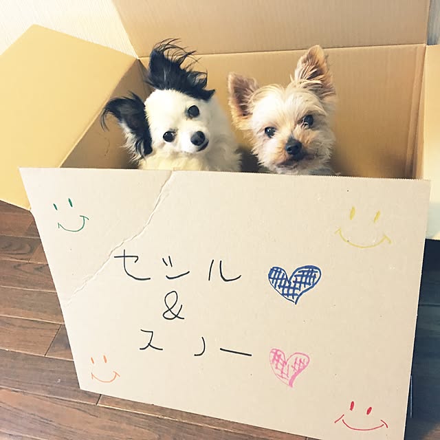 ohanaさんの実例写真