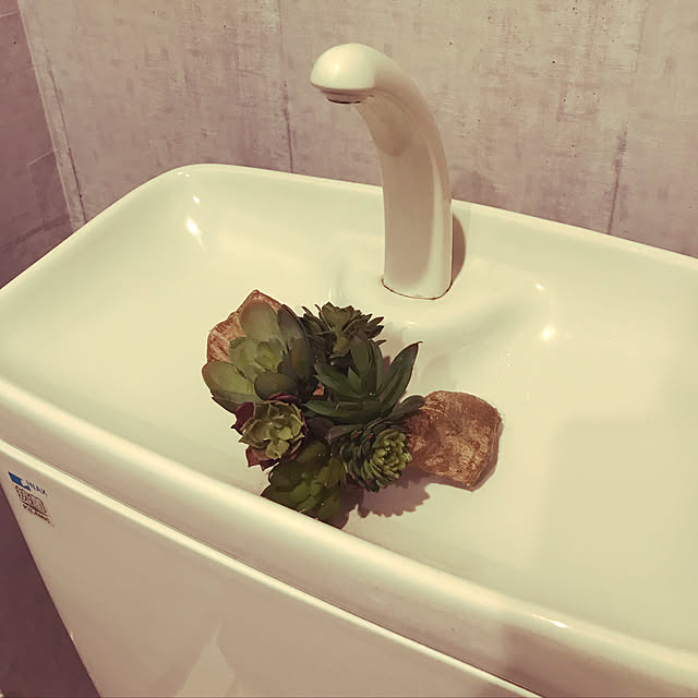 トイレインテリア/多肉植物/フェイクグリーン/賃貸インテリア/ニトリ...などのインテリア実例 - 2019-09-06 12:14:49