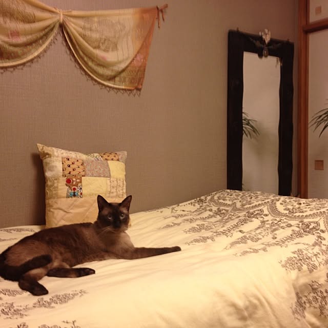 dodoさんの実例写真