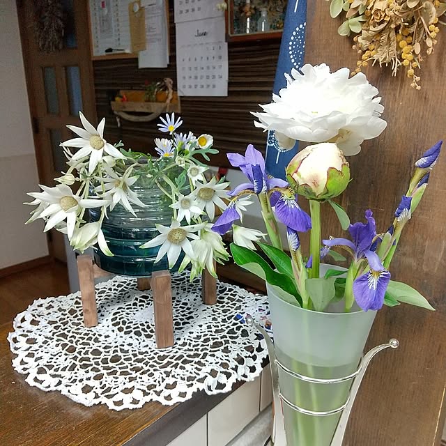 koyutan-mjmさんの部屋