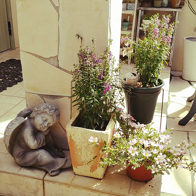 bu-bu-chanさんの実例写真