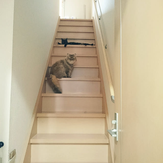 nanoさんの実例写真