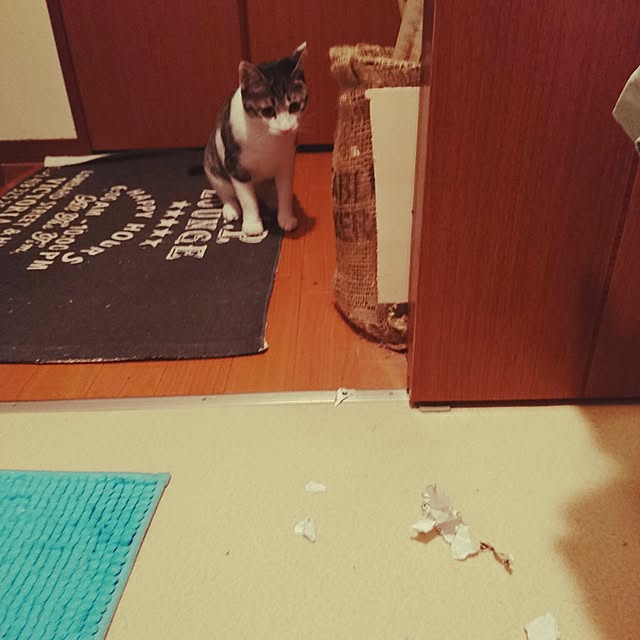 kiraさんの実例写真