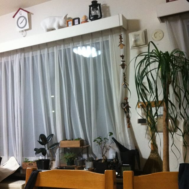 hoさんの実例写真