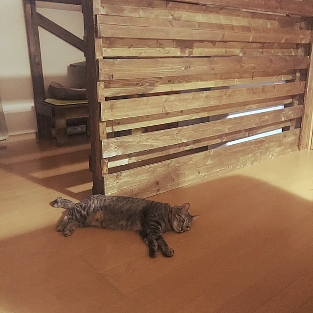 mikan161さんの実例写真