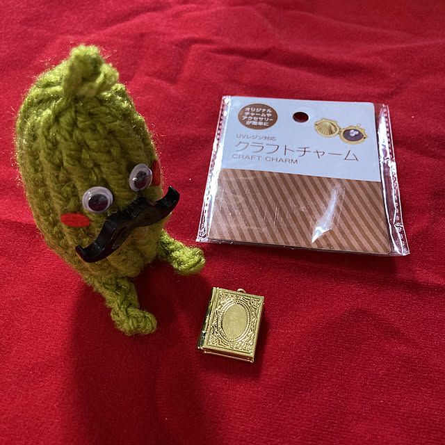 manduonmaさんの実例写真