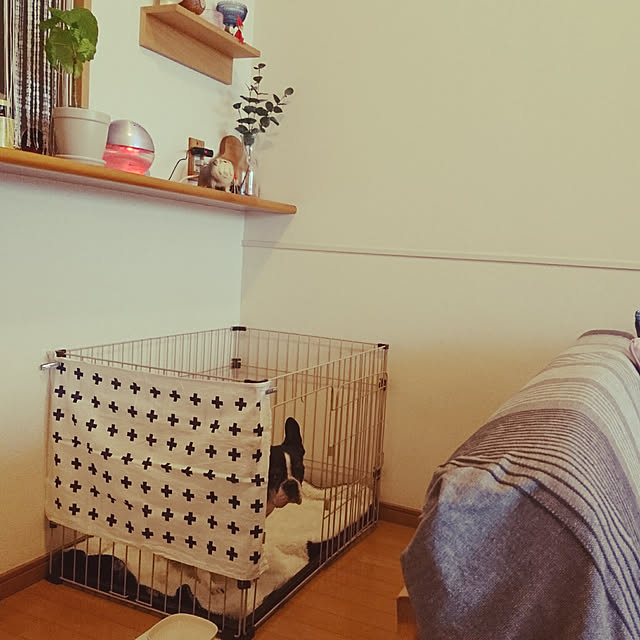 Makiさんの実例写真