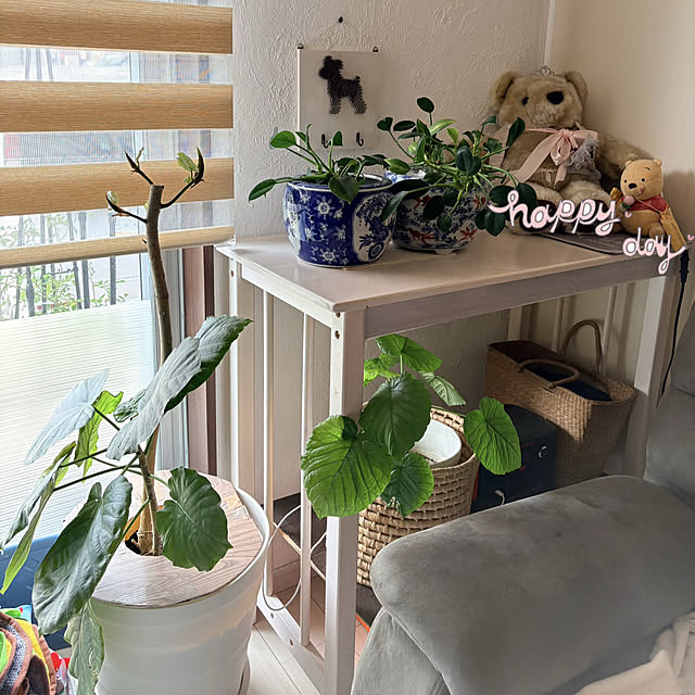 alchoさんの部屋