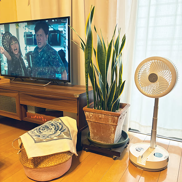 koshiregutyoさんの部屋
