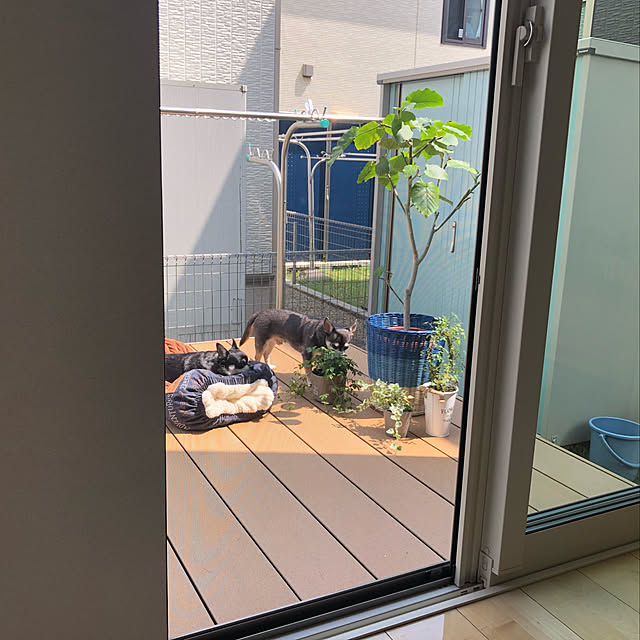 YMZKさんの実例写真