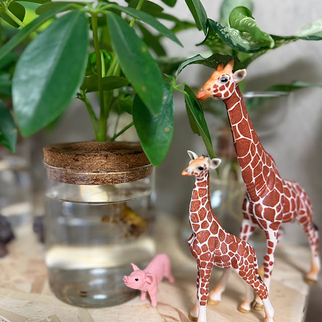 Yoshimiさんの部屋