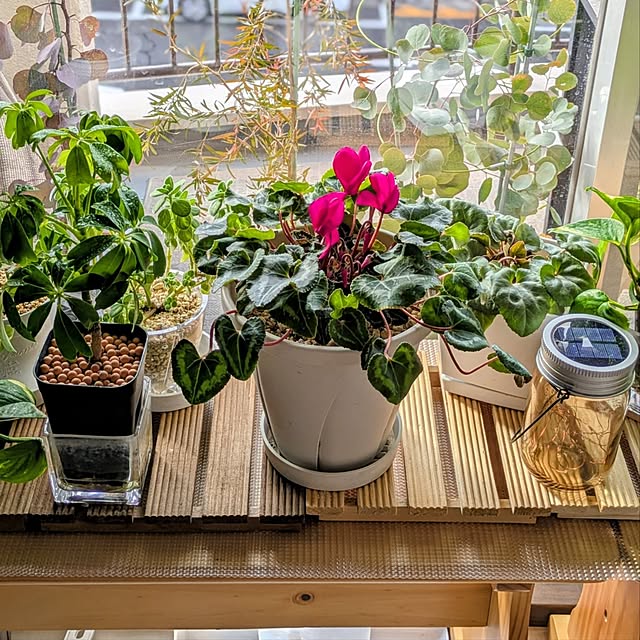 mi-saさんの部屋