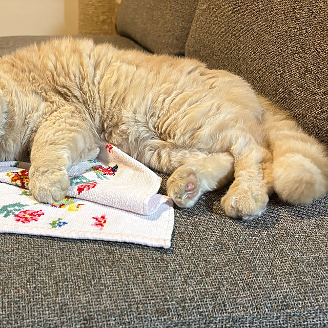 naokoさんの部屋