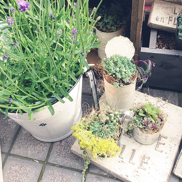 marikaさんの実例写真