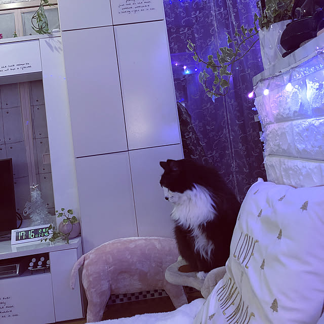 kanaさんの実例写真
