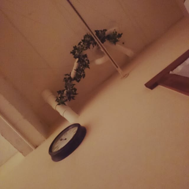 cocoroさんの実例写真