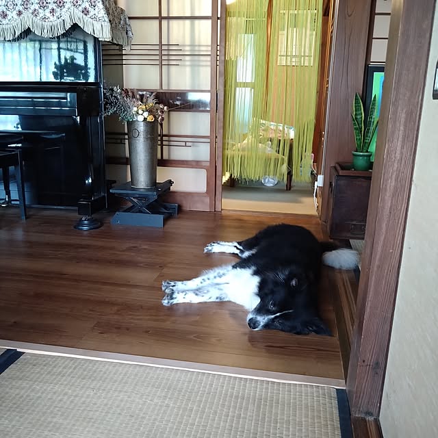 nacoさんの実例写真