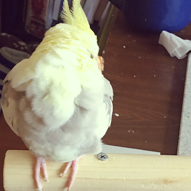 moguさんの実例写真