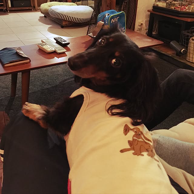 Risaさんの実例写真