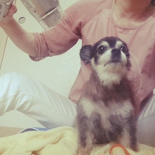 nia1213さんの実例写真