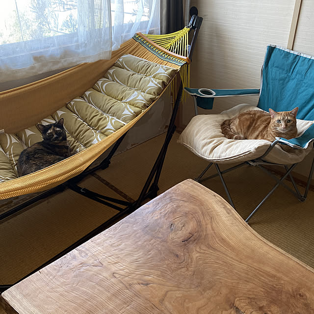 tornadeさんの実例写真