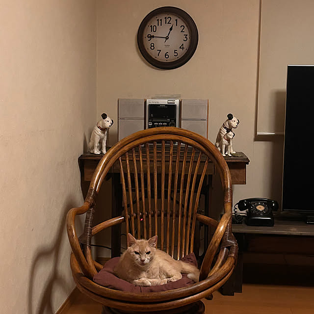 mikan161さんの実例写真