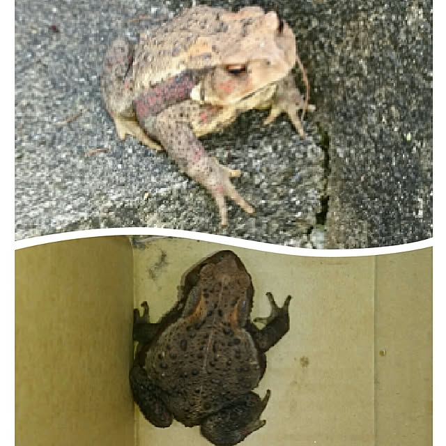 yuukyさんの実例写真