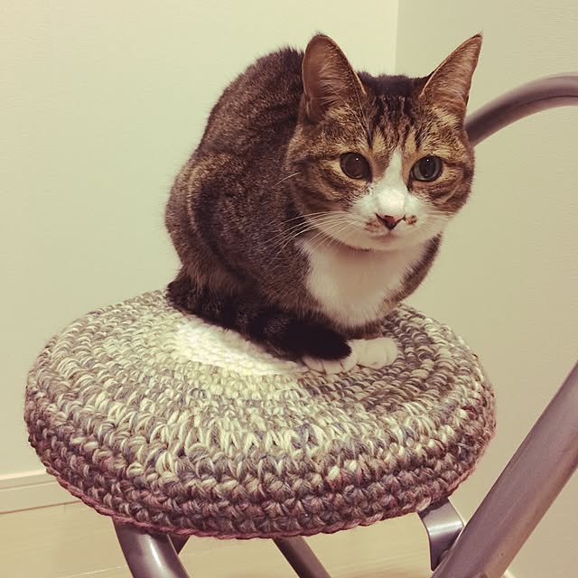 ayapiiiiceさんの実例写真
