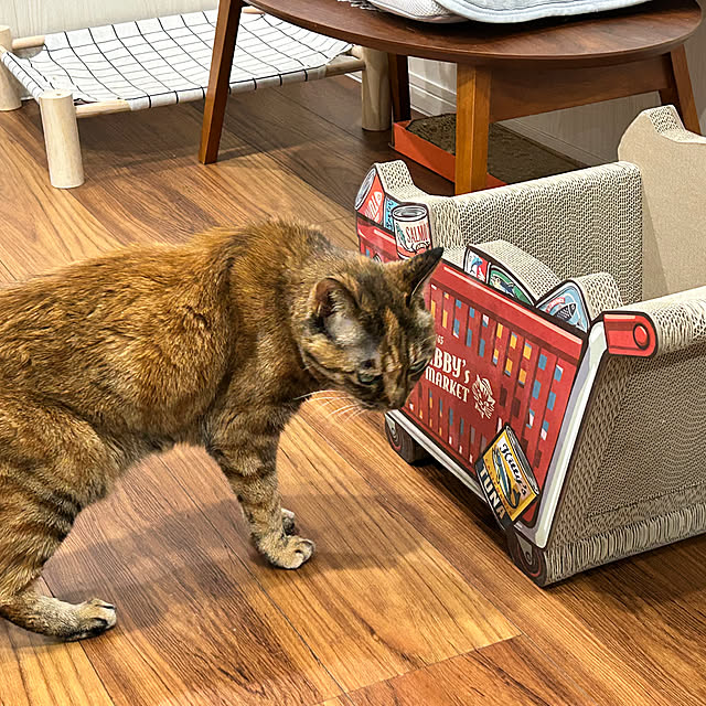 mikeume7さんの部屋