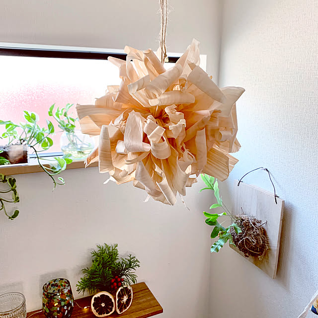 HAKOさんの部屋