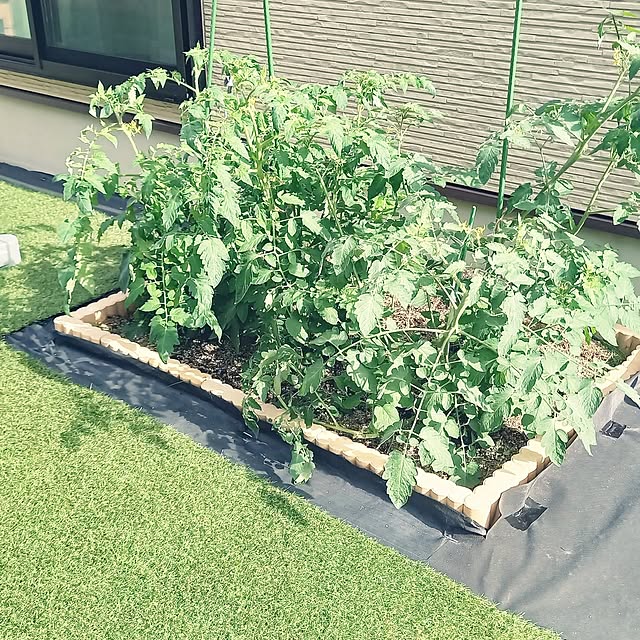 osakanaさんの実例写真